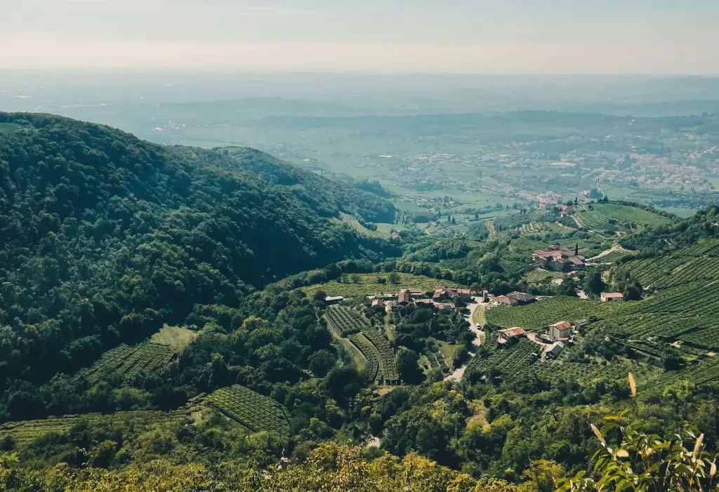 Panorama della Valpolicella con vista sulle colline e i vigneti